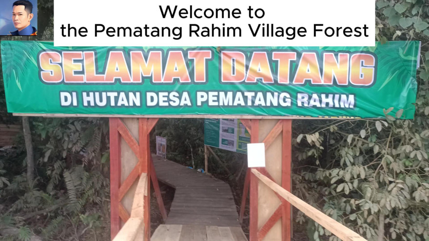 Inilah Wisata Hutan Edu Ekowisata Desa Pematang Rahim terkini